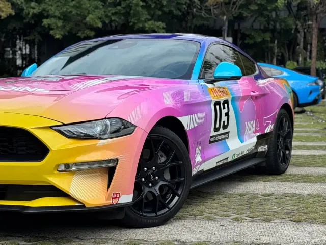 Ford Mustang — Фото автомобиля 13