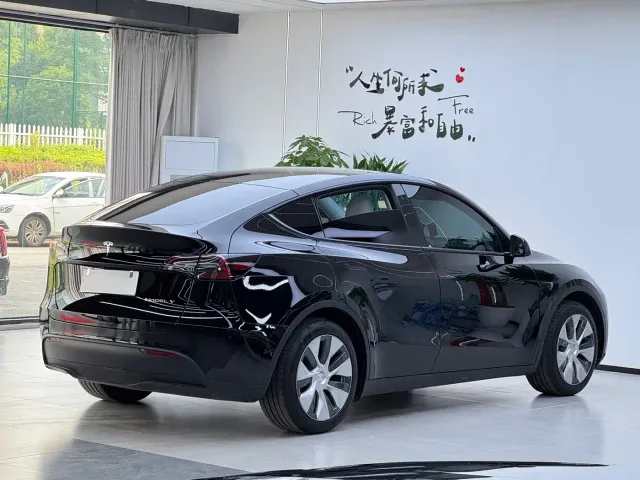 Tesla Model Y — Фото автомобиля 3