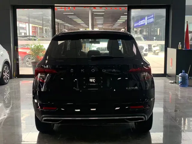 Skoda Karoq — Фото автомобиля 10