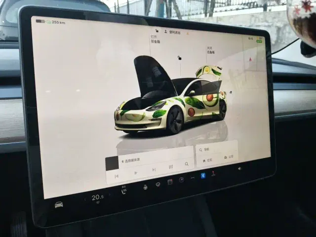 Tesla Model 3 — Фото автомобиля 12