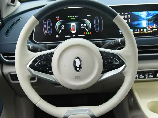 Ora Ora Good Cat 2024 501km Premium — Фото автомобиля 10