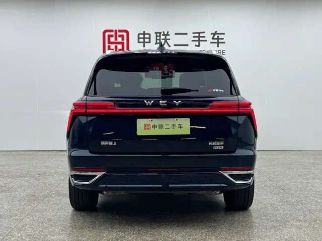Wey Lanshan — Фото автомобиля 4