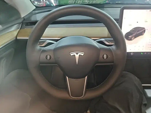 Tesla Model Y — Фото автомобиля 10