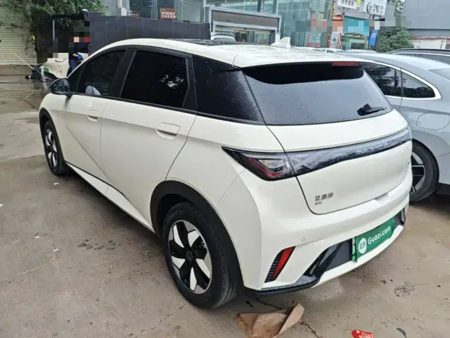 BYD Dolphin — Фото автомобиля 4