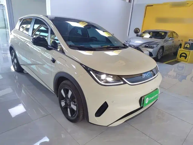BYD Dolphin — Фото автомобиля 3