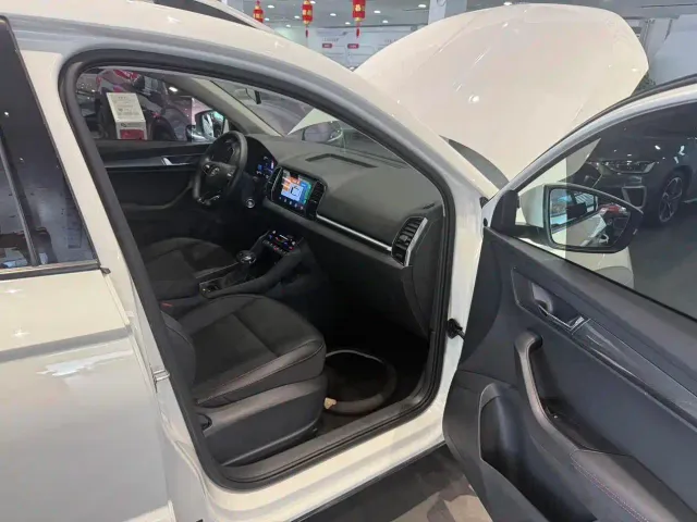Skoda Karoq — Фото автомобиля 9