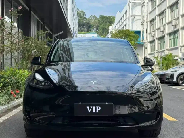 Tesla Model Y — Фото автомобиля 2