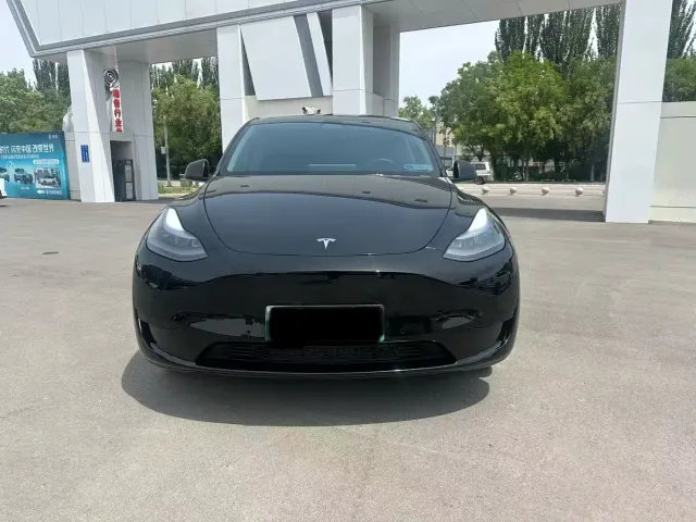 Tesla Model Y — Фото автомобиля 2