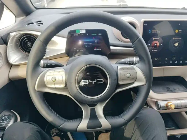 BYD Dolphin — Фото автомобиля 10