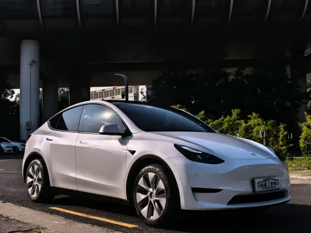 Tesla Model Y — Фото автомобиля 3