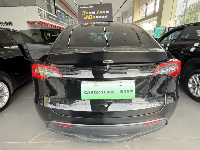 Tesla Model Y — Фото автомобиля 6