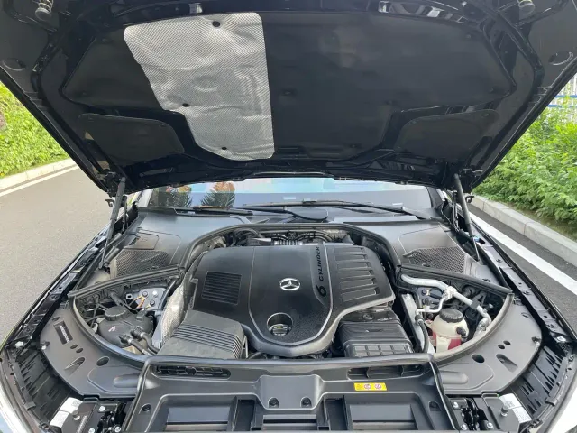 Mercedes-Benz S-Class — Фото автомобиля 21