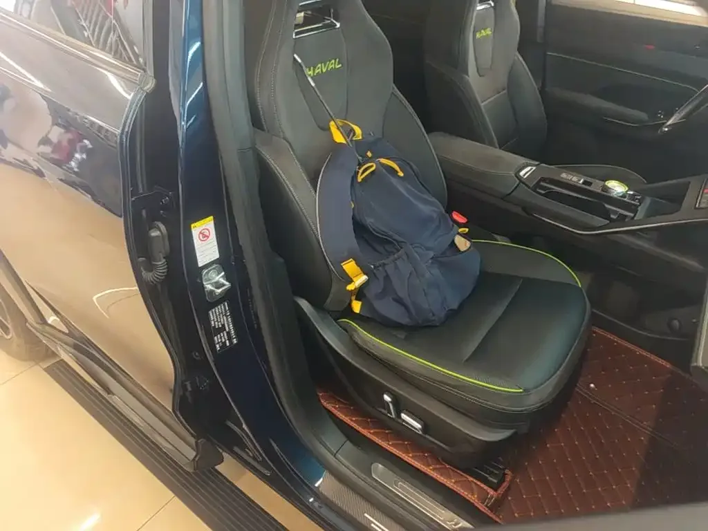Haval Haval H6S 2022 Model 2.0T AWD Trend Run Edition — Фото автомобиля 19