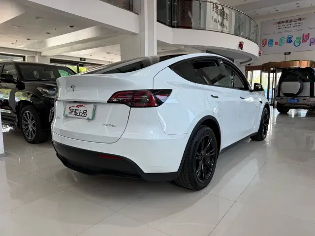 Tesla Model Y — Фото автомобиля 9