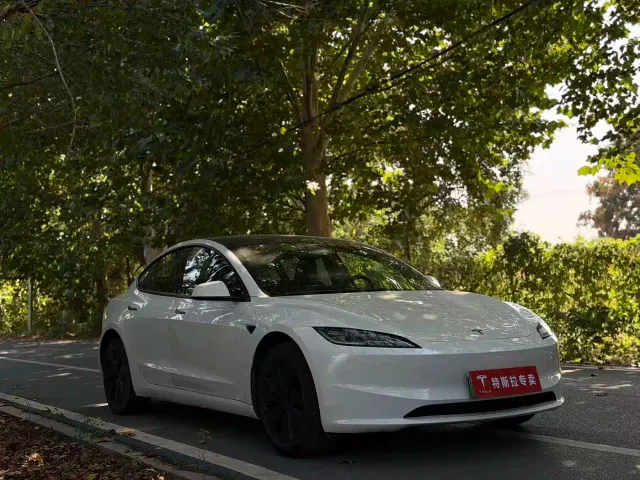 Tesla Model 3 — Фото автомобиля 3