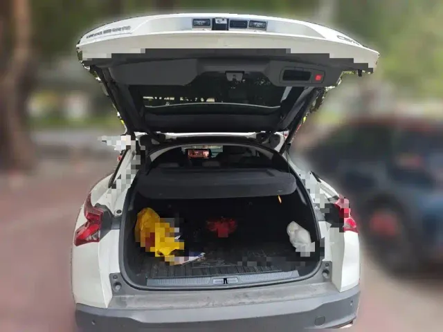 Citroen C5 X — Фото автомобиля 20
