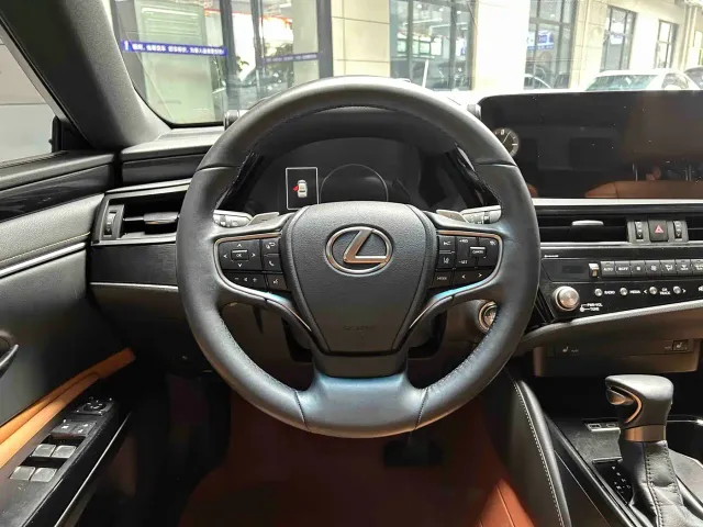 Lexus Lexus ES 2023 260 Excellence — Фото автомобиля 13