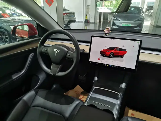 Tesla Model Y — Фото автомобиля 13