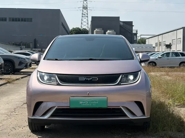 BYD Dolphin — Фото автомобиля 2