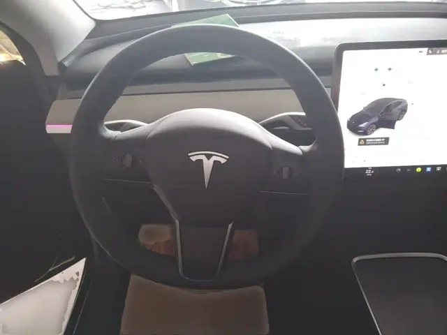 Tesla Model Y — Фото автомобиля 10
