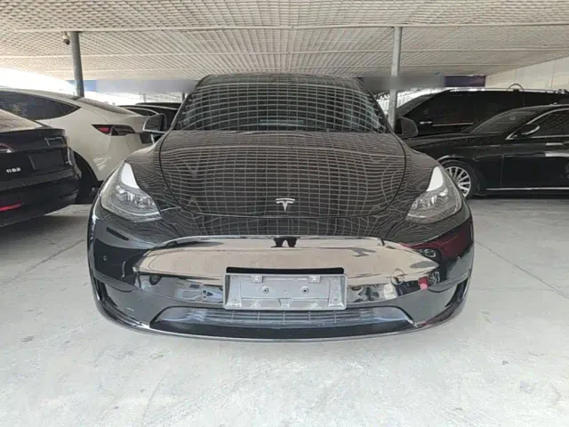 Tesla Model Y — Фото автомобиля 2