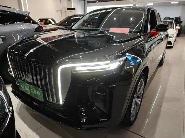 Hongqi E-HS9 — Фото автомобиля 2