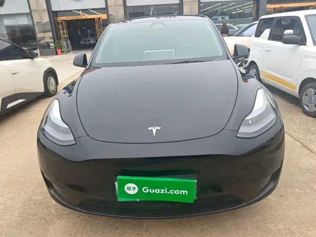 Tesla Model Y — Фото автомобиля 2