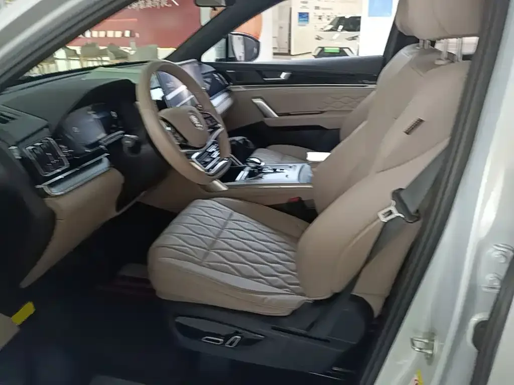 BYD Tang New Energy 2024 DM-p Glory Edition 215KM AWD Premium — Фото автомобиля 14