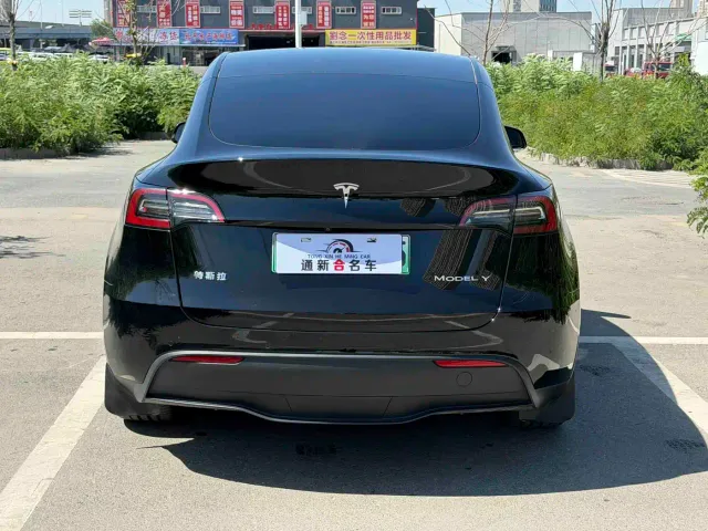 Tesla Model Y — Фото автомобиля 8
