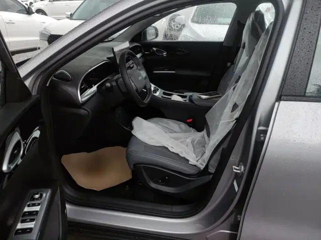 Geely Starry Wish — Фото автомобиля 14