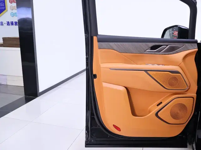 Wey Alpine — Фото автомобиля 18