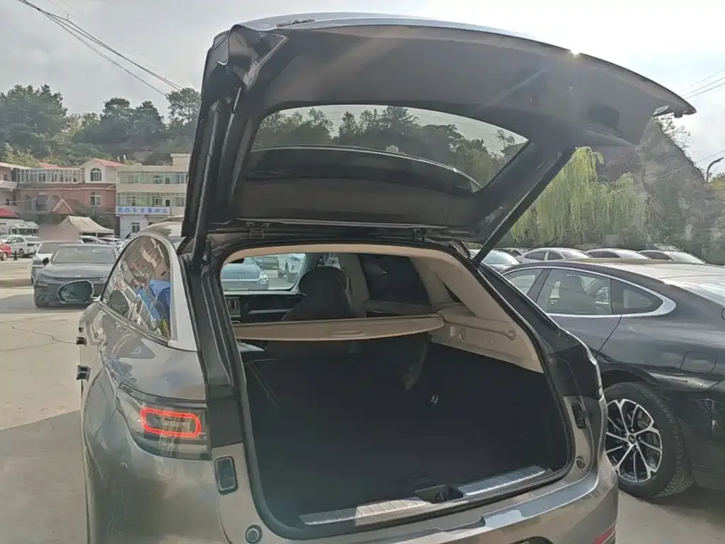 Leapmotor Leapmotor C11 2021 Facelift Luxury Edition — Фото автомобиля 18