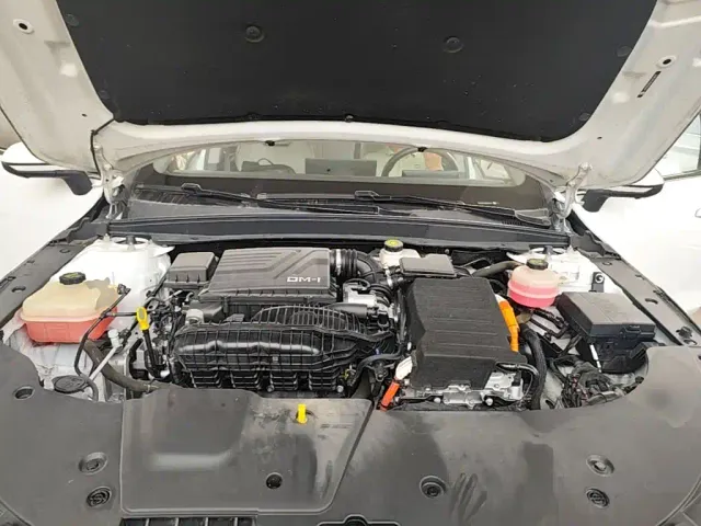 BYD Destroyer 05 2022 DM-i 55KM Premium — Фото автомобиля 19
