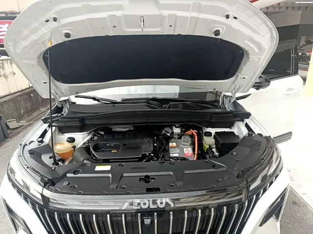 Dongfeng Haoji — Фото автомобиля 19