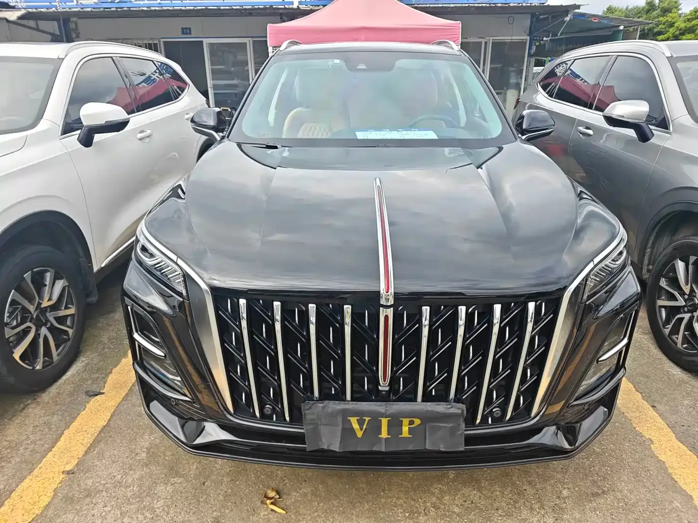 Hongqi Hongqi HS5 2023 2.0T Flag Joy Pro Edition — Фото автомобиля 2