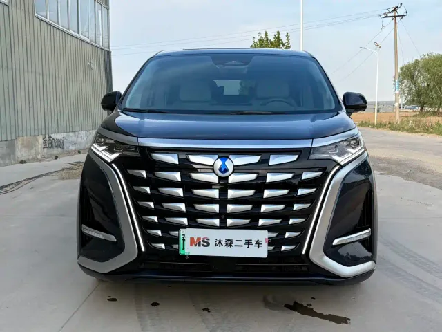 Denza Denza D9 2022 DM-i 970 AWD Flagship — Фото автомобиля 2