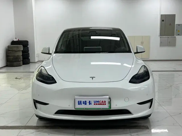 Tesla Model Y — Фото автомобиля 2