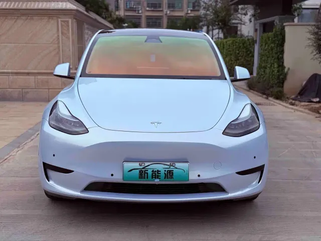 Tesla Model Y — Фото автомобиля 2
