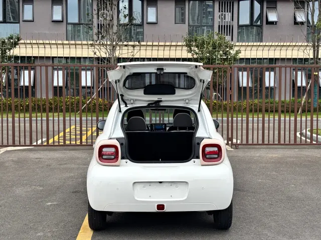 Ora Black Cat — Фото автомобиля 19