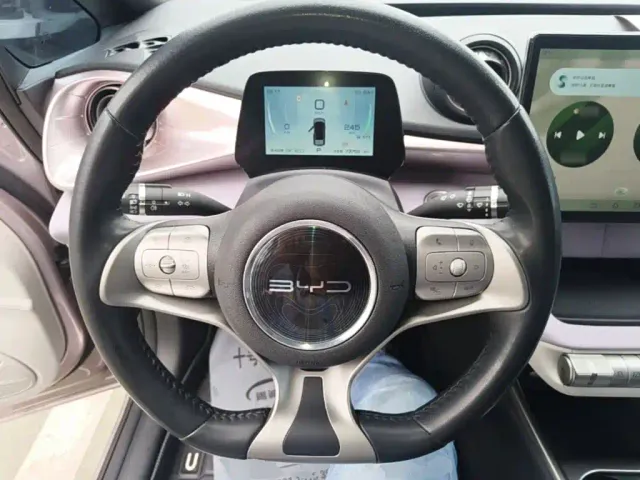BYD Dolphin — Фото автомобиля 10