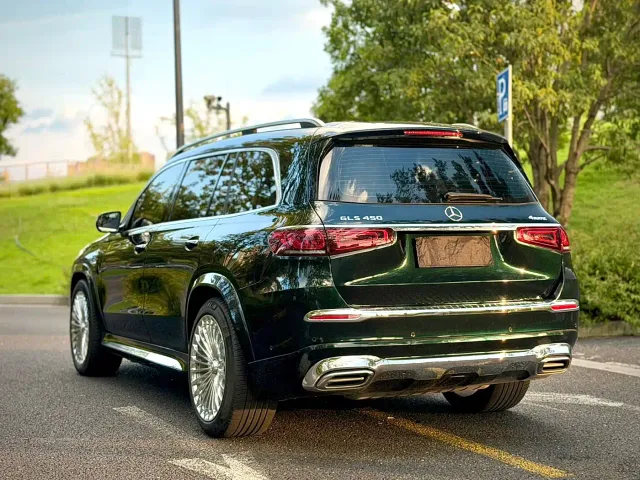 Mercedes-Benz GLS-Class — Фото автомобиля 5