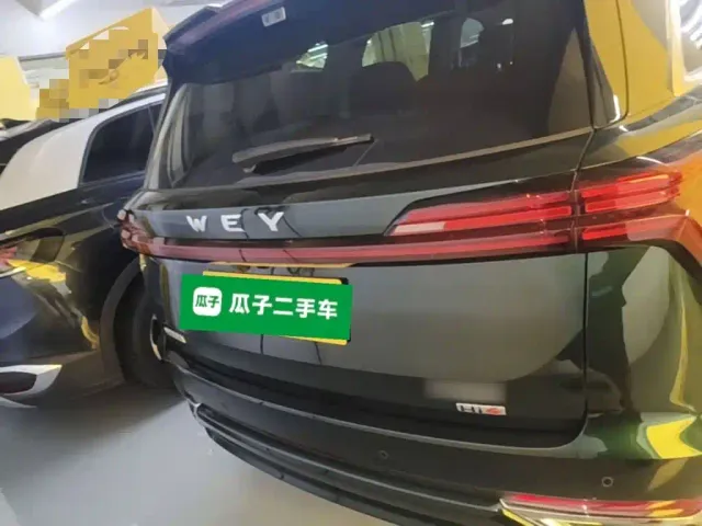 Wey Lanshan — Фото автомобиля 5
