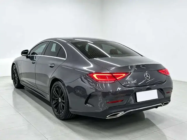 Mercedes-Benz CLS-Class — Фото автомобиля 6