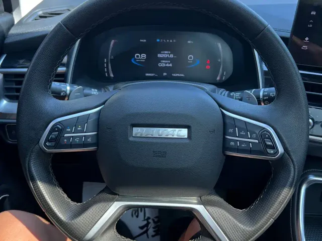 Haval H6 — Фото автомобиля 11