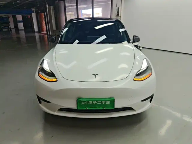 Tesla Model Y — Фото автомобиля 2
