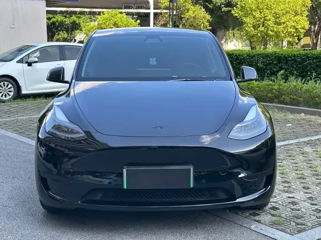 Tesla Model Y — Фото автомобиля 2