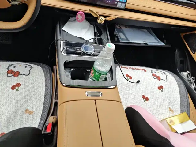 Geely Galaxy Xingyao 8 — Фото автомобиля 16