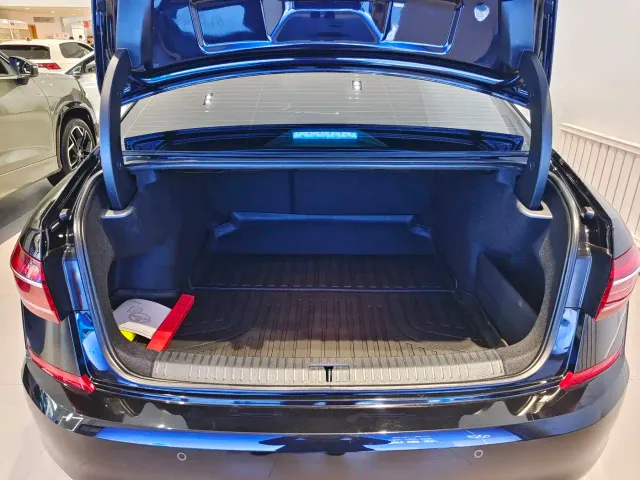 Volkswagen Passat — Фото автомобиля 10
