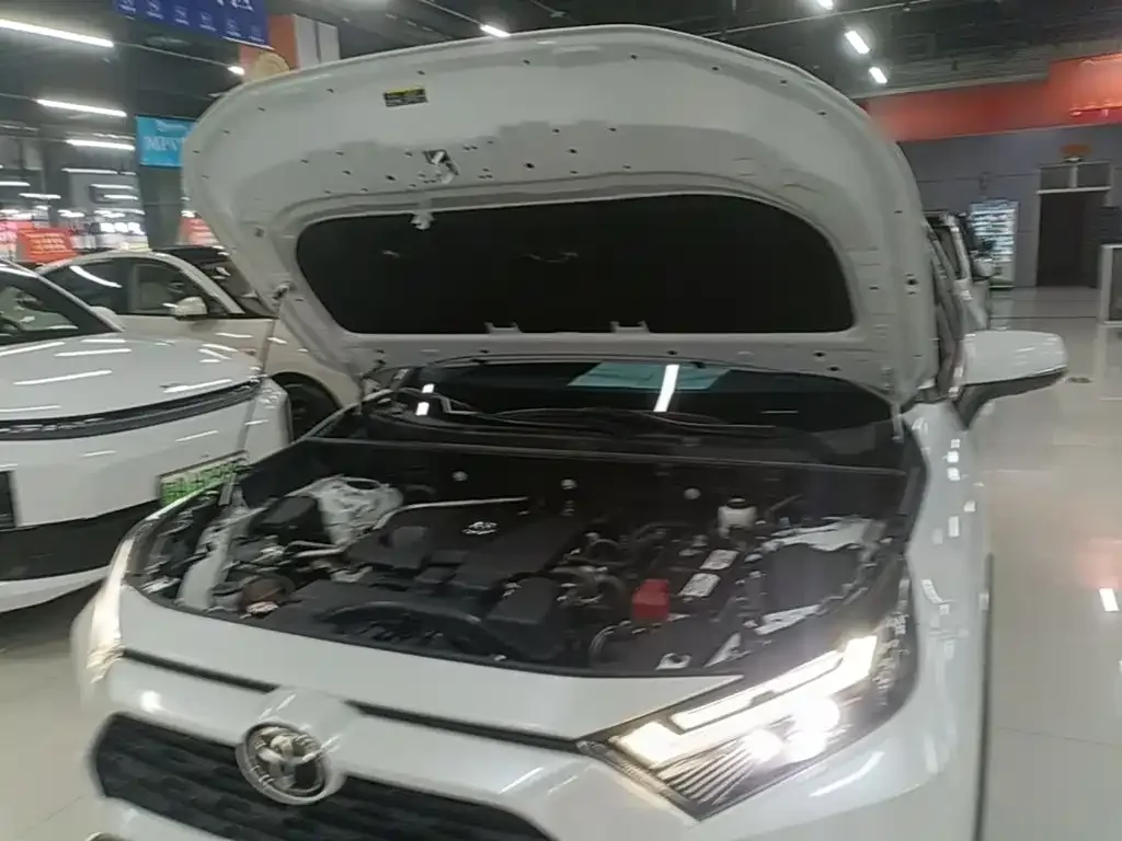 Toyota RAV4 Rongfang 2023 2.0L CVT 2WD 20th Anniversary Platinum Edition — Фото автомобиля 19