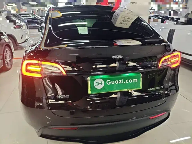 Tesla Model Y — Фото автомобиля 5